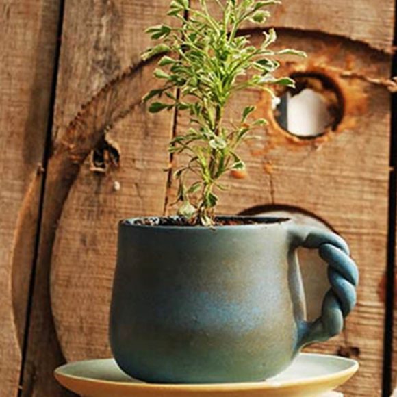 Chie planters for that ultimately look