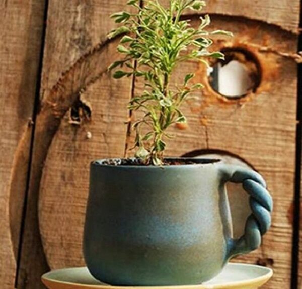 9 High-end Wall Décor Ideas That Would Refresh Your Place