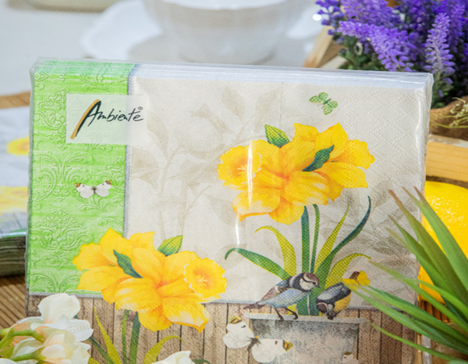Discover different types of Paper napkins for your dining table